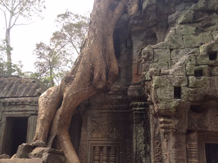 Ta Prohm